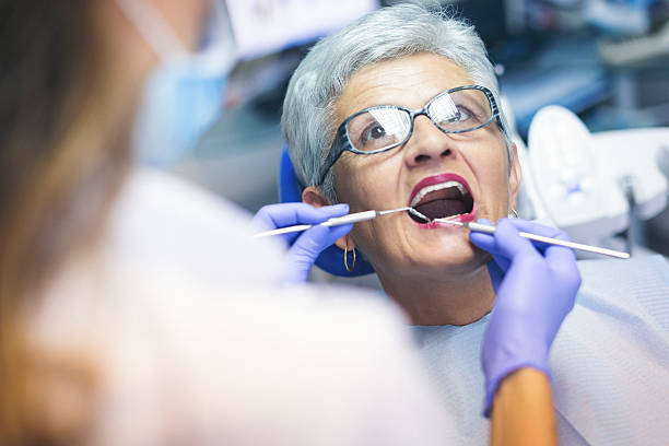 Professional Holistic Dental Care Services in North Puyallup, WA